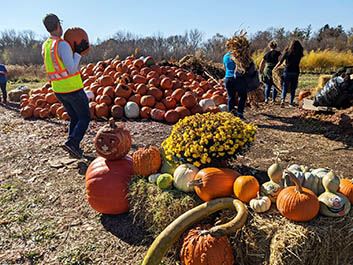 Pumpkin Recycling 2