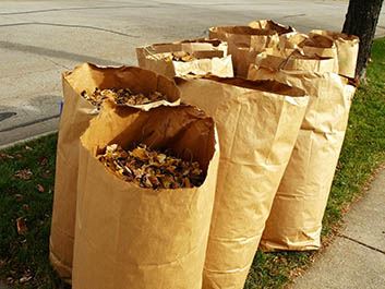 Leaf Bag Program