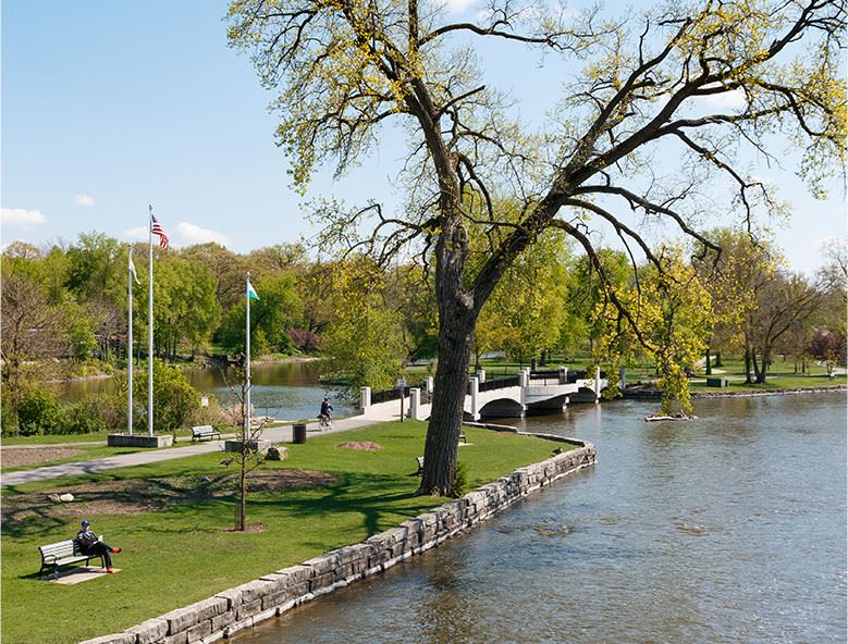 A river flowing through a grassy park on a sunny day