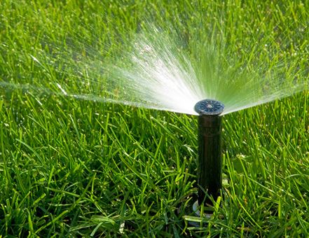 Irrigation System - Lawn Watering