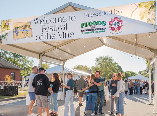 Festival of the Vine 4